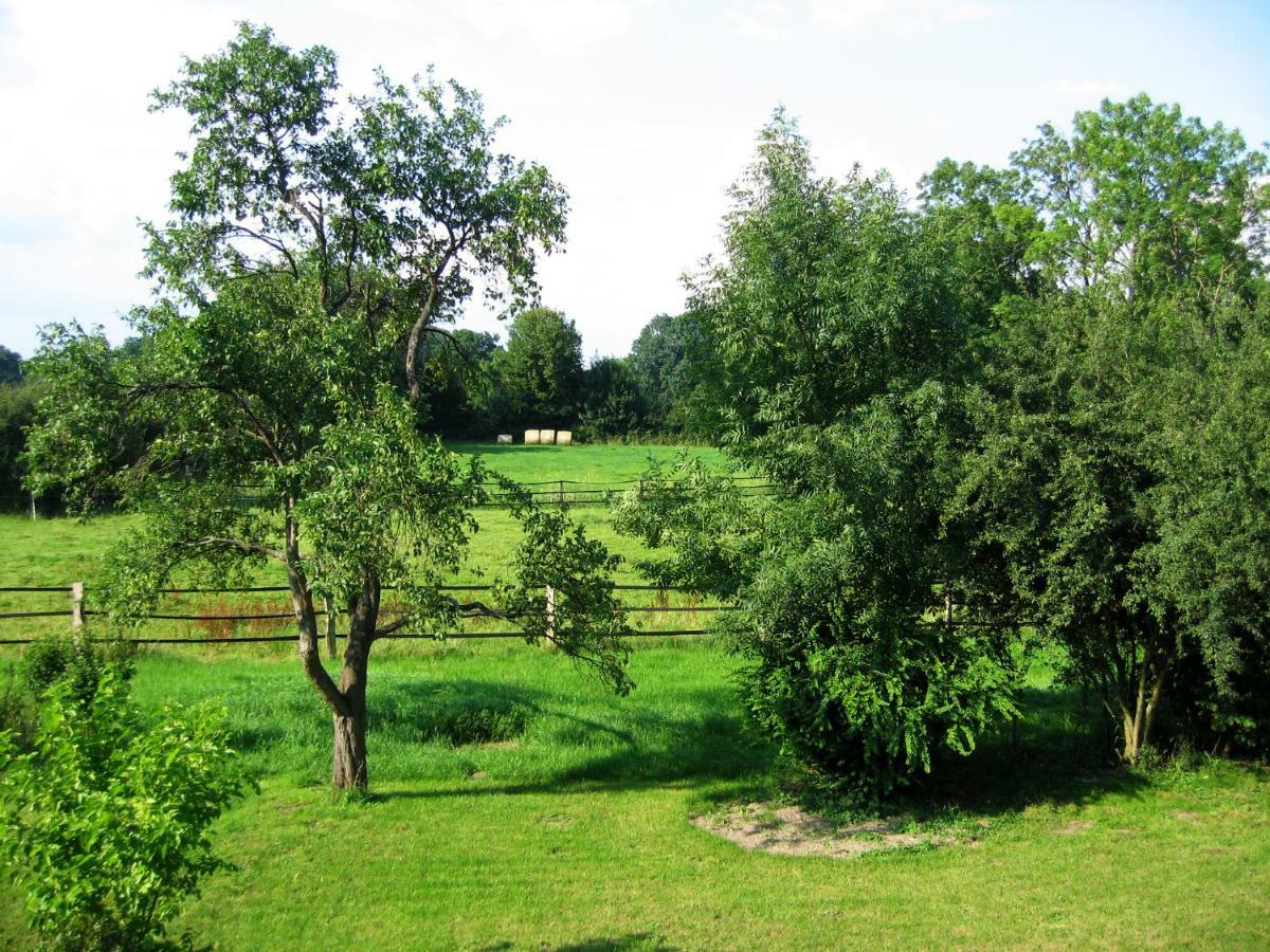 Fewos In Klein-Grindau Schwarmstedt Bagian luar foto