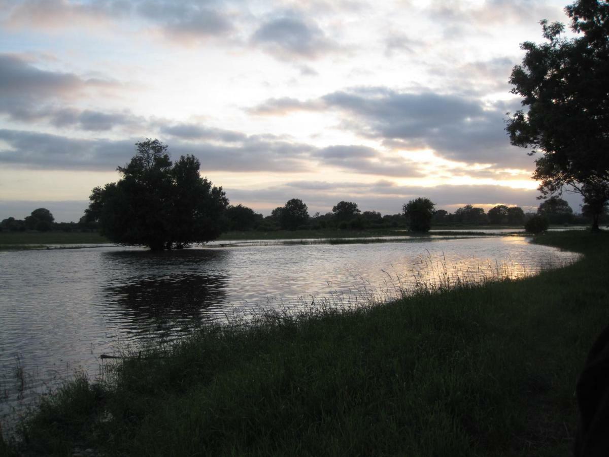 Fewos In Klein-Grindau Schwarmstedt Bagian luar foto